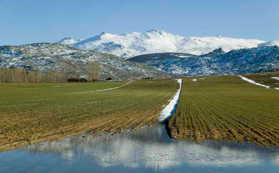 Sierra de la Paramera